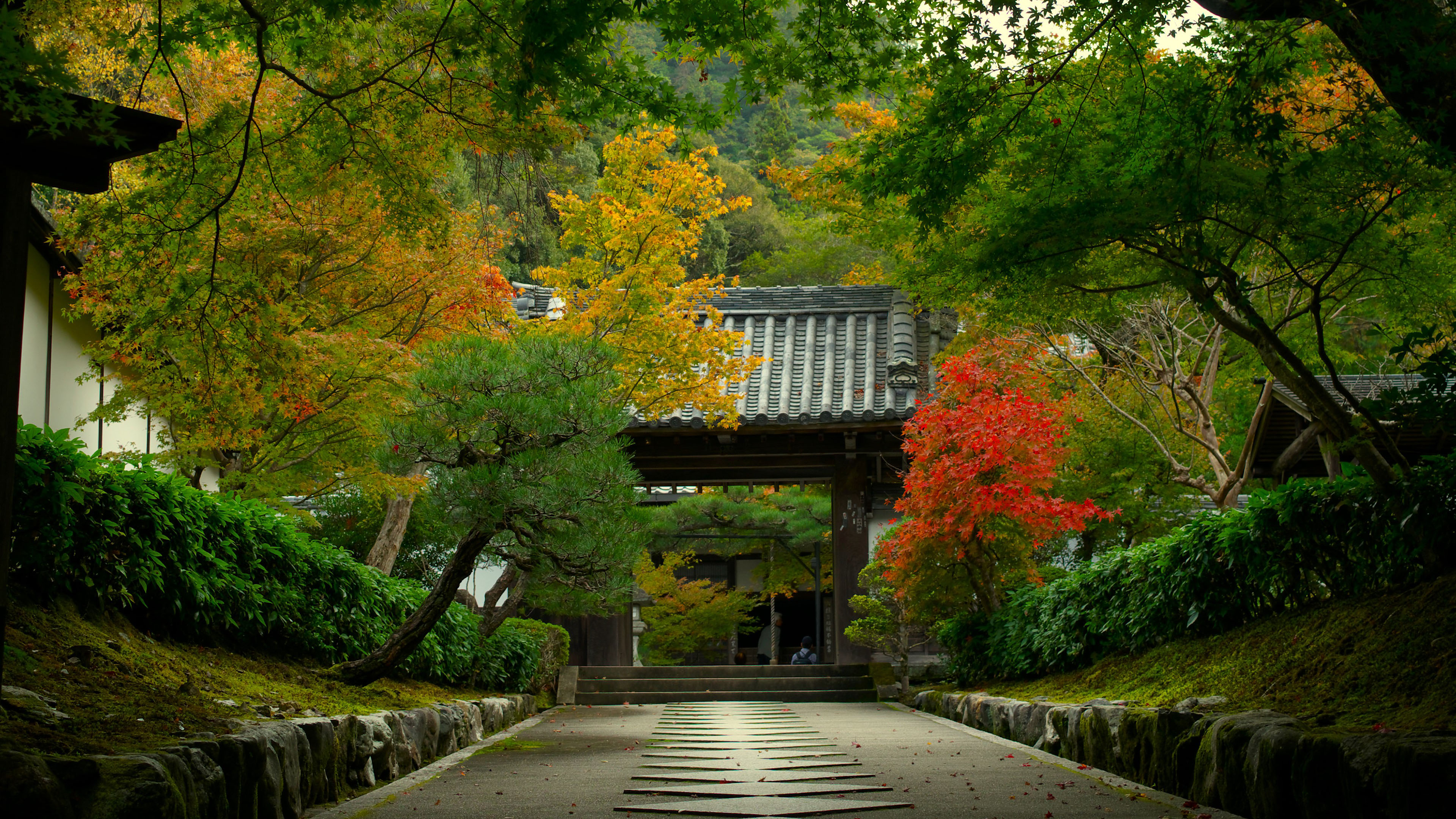 K-Means 聚类实战：从 240 万条数据中挖掘热点区域